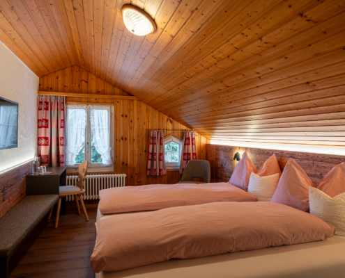 standard_Z20-DSC08621b